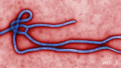 Một trường hợp nghi nhiễm Ebola ở Hong Kong