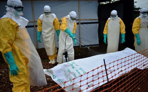 WHO: Dịch bệnh Ebola chưa được đánh giá đúng mức