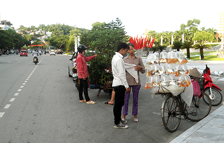 Chụp hồi 17 giờ ngày 24/8/2014 trên đường Lê Thánh Tông (TP Hạ Long) (trước cổng Đài tưởng niệm)