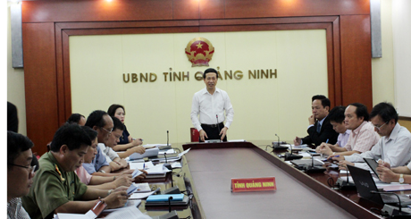 Đồng chí Nguyễn Văn Thành, Phó Chủ tịch UBND tỉnh phát biểu tại cuộc họp.