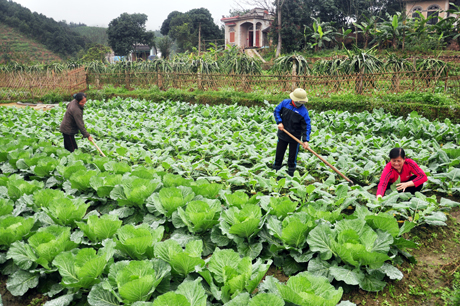 Chương trình thời sự sáng ngày 26/09/2014