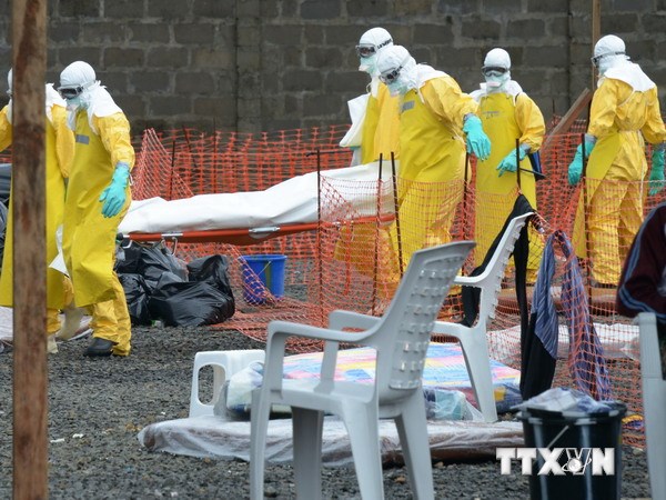 WHO xác nhận ít nhất 2.296 ca tử vong do dịch bệnh Ebola