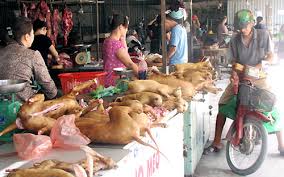 Thịt chó sống bây giờ bày bán đầy ở chợ