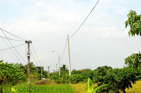 Đoạn đường điện chạy qua khu Phong Thái, phường Phương Nam không đạt được hiệu quả do thay đổi tuyến đường đi.