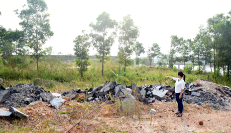 Diện tích đất bị thu hồi mà bà Thu khiếu nại là đất công do UBND phường Minh Thành (TX Quảng Yên) quản lý.