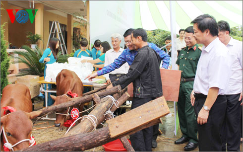 Chủ tịch nước trao bò giống cho người nghèo biên giới tỉnh Lạng Sơn (Ảnh: Hoàng Dũng)