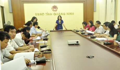 Đồng chí Vũ Thị Thu Thuỷ, Phó Chủ tịch UBND tỉnh phát biểu kết luận tại cuộc họp.