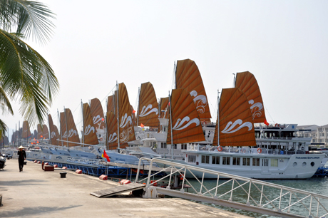 Hệ thống tàu du lịch tham quan Vịnh Hạ Long ngày càng được đầu tư hiện đại. (ảnh chụp tàu du lịch tại cảng Tuần Châu).