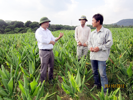 Ông Vũ Tuấn Cường trao đổi với một số kỹ sư nông nghiệp tại Đông Triều về việc phát triển cây dược liệu trên địa bàn.