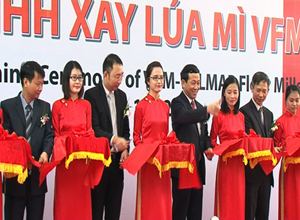 Nhà máy Xay lúa mì được đầu tư 988 tỷ đồng chính thức đi vào hoạt động