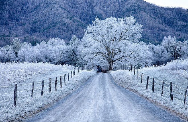 Khung cảnh phủ tuyết trắng xóa tại công viên quốc gia Great Smoky Mountains, Tennessee.