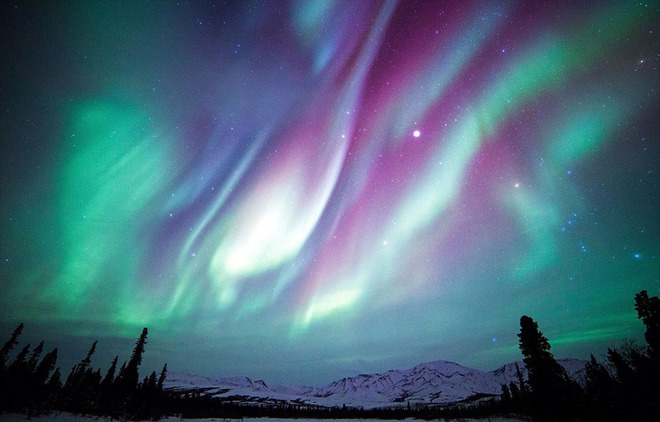Bắc cực quang ở công viên quốc gia Denali, Alaska.