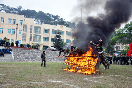CBCS Đại đội trinh sát, Bộ Chỉ huy Quân sự tỉnh huấn luyện môn vượt tường lửa. Ảnh: Quang Minh