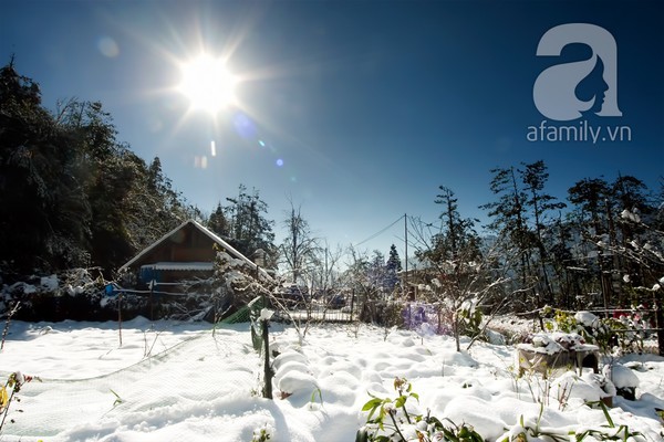 Tuyết phủ trắng Sapa cuối năm 2013 khiến thị trấn này trông giống như một ngôi làng Châu Âu.