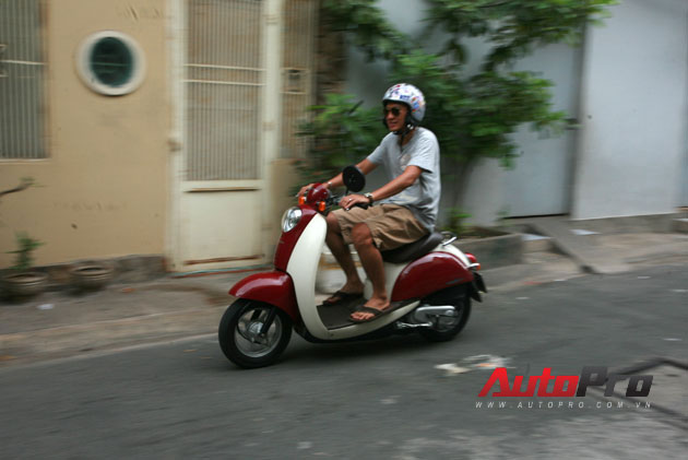 Honda Crea Scoopy 50cc Scooter lý tưởng trong phố
