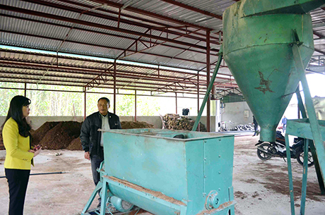 Công ty CP Nấm Thịnh Phát đang hoàn thiện dây chuyền công nghệ nuôi trồng, chế biến nấm quy mô công nghiệp tại xã Đồng Lâm (huyện Hoành Bồ).