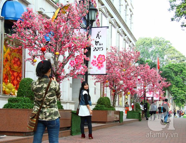 Nhiều tuyến đường của Sài Gòn như Lê Duẩn, Hai Bà Trưng, Lý Tự Trọng, Nguyễn Trãi, Phạm Ngọc Thạch… đã thay sắc với hàng trăm loài hoa được trung bày dọc bên đường.