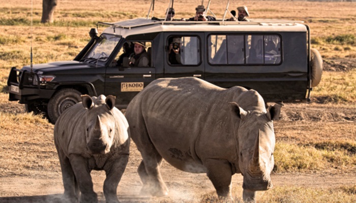 Tháng 5 - du lịch sinh thái ở Kenya. Tháng 5 là tháng sinh đẻ của các loài động vật hoang dã và bạn có thể chiêm ngưỡng rất nhiều cảnh vật sống động, hiếm có khó tìm trong cuộc sống hiện tại. Tuy nhiên, giá cả của một tour khá đắt, gần 3.600 USD.