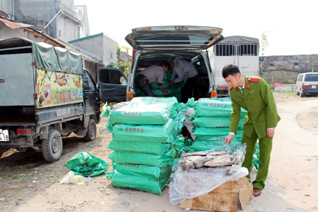 Lực lượng công an tỉnh kiểm tra và thu giữ một xe tải chở mực nhập lậu từ Trung Quốc vào Việt Nam dịp gần Tết.