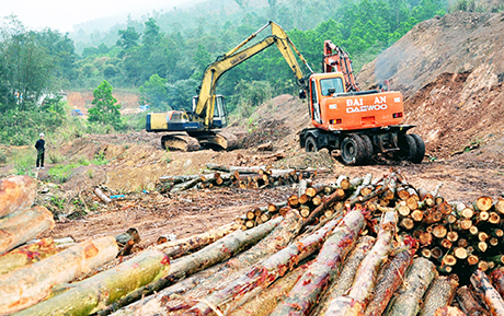 GPMB Cảng hàng không Quảng Ninh: Nỗ lực về đích