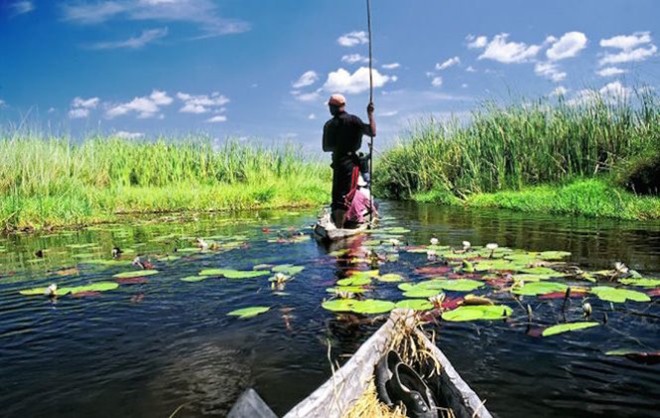 Con sông dài thứ tư châu Phi Okavango đổ vào Botswana đã tạo ra vùng đầm lầy Okavango. Khi quan sát từ xa, nó như ốc đảo nằm giữa sa mạc Kalahari.  Tham quan đầm lầy Okavango, du khách có dịp quan sát đời sống đa dạng của các loài động vật quý hiếm như trâu, hà mã, cá sấu… hoặc thả hồn, đắm mình trong khung cảnh thanh bình, nguyên sơ của thiên nhiên sông nước.