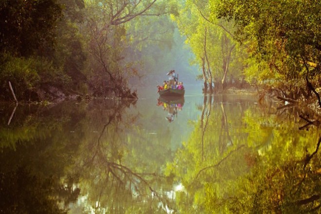 Trải dài trên khu vực lãnh thổ Bangladesh và Ấn Độ, Sundarbans là khu rừng ngập mặn lớn nhất thế giới. Sundarbans còn được biết đến như thần bảo vệ của hàng nghìn người dân tại đây khi cơn bão Sidr đổ bộ vào Bangladesh.  Khi ghé thăm Sundarbans, du khách có dịp tham quan khu bảo tồn loài cá heo Irrawaddy - một trong các loài động vật trong danh sách đỏ cần được bảo tồn khẩn cấp hoặc tham dự và tìm hiểu những điệu múa dân gian của người Ấn Độ trong những dịp lễ đặc biệt.