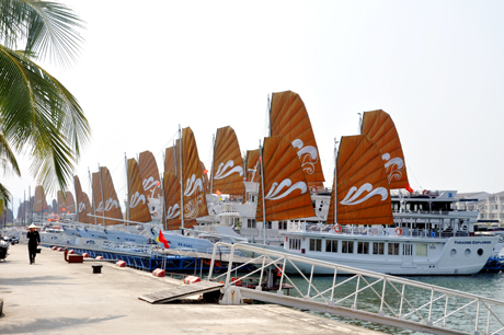 Bến 1 Cảng tàu du lịch Tuần Châu đã đưa vào sử dụng...