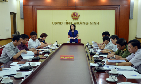 Đồng chí Vũ Thị Thu Thuỷ, Phó Chủ tịch UBND tỉnh phát biểu kết luận cuộc họp