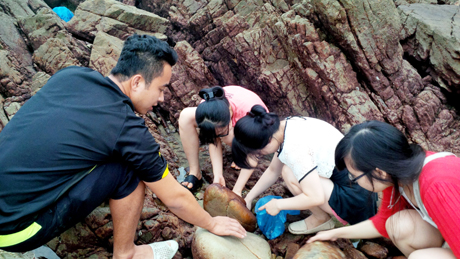 Anh Phạm Thành Luân hướng dẫn du khách lật những hòn đá phẳng để bắt ốc.