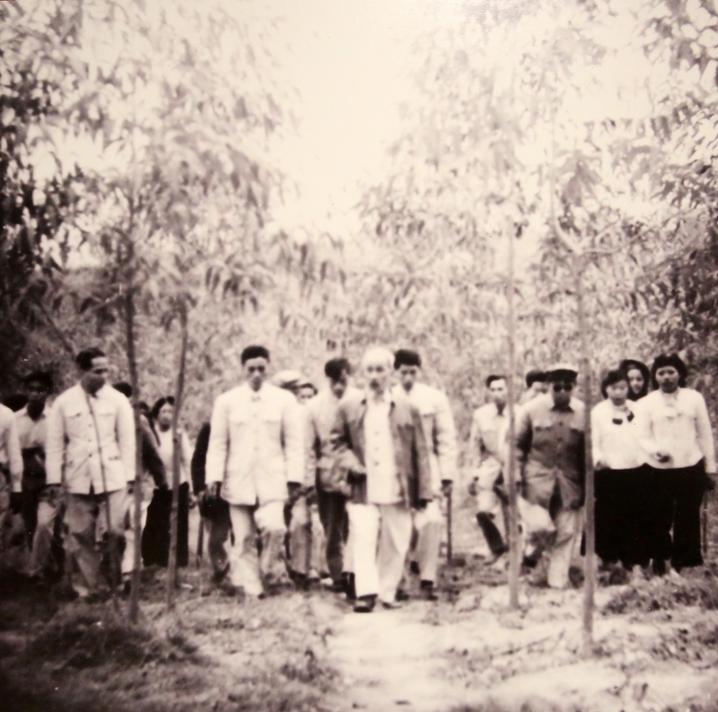 ..., thăm vườn cây cao su của Nông trường Hữu Nghị, tỉnh Hải Ninh.