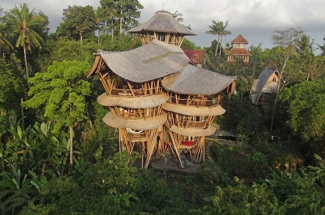  Elora tập hợp một nhóm các kiến trúc sư, nhà thiết kế, các thợ thủ công lành nghề thành nhóm Ibuku (Mẹ Trái đất của tôi). Trong 5 năm qua, họ đã xây dựng 50 công trình độc đáo, phần lớn ở Bali. Trong đó có cả những khu nghỉ tiện nghi, nhà ở bao quanh bởi vườn cây, những cây cầu hoàn toàn bằng tre.