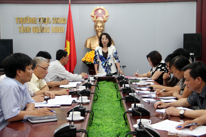 Đồng chí Vũ Thị Thu Thủy, Phó Chủ tịch UBND tỉnh phát biểu kết luận cuộc họp.
