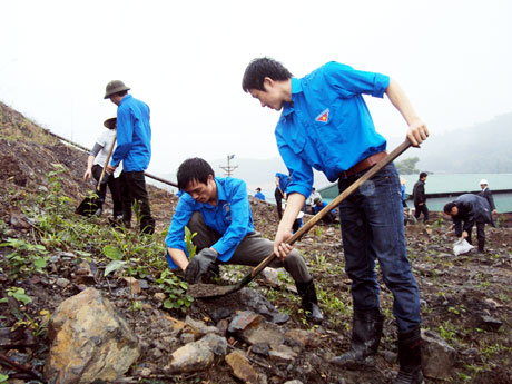 ĐVTN Công ty Than Khe Chàm ra quân trồng cây hoàn nguyên môi trường tại khai trường Công ty, hưởng ứng Tết Trồng cây.
