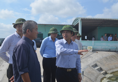 Đồng chí Đặng Huy Hậu, Phó Chủ tịch UBND tỉnh kiểm tra thực tế tình hình dịch bệnh tôm tại phường Hải Hòa