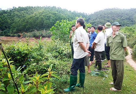 Lực lượng chức năng và các hộ dân kiểm tra thực địa diện tích rừng được giao tại tiểu khu 256, hồ Đá Lạn (xã tiên Lãng, huyện Tiên Yên).