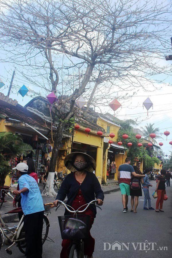 Bức tường mang màu vàng rêu phong, bong tróc vì sự bào mòn của thời tiết, vậy mà vẫn “ám ảnh” du khách với những ký ức tuyệt vời nhất.