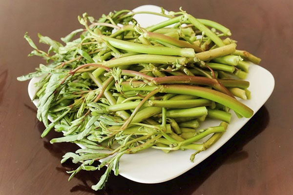 Lẩu Bạch Tuộc Nhúng Mẻ - Hướng Dẫn Chi Tiết Nấu Nước Mẻ & 25+ Cách Ăn Kèm Ngon 2025 6 Rau rút: ngon, bổ dưỡng những dễ nhiễm nhiều mầm bệnh - Báo Quảng Ninh điện tử