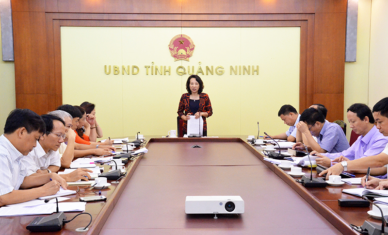 Đồng chí Vũ Thị Thu Thủy, Phó Chủ tịch UBND tỉnh phát biểu chỉ đạo cuộc họp