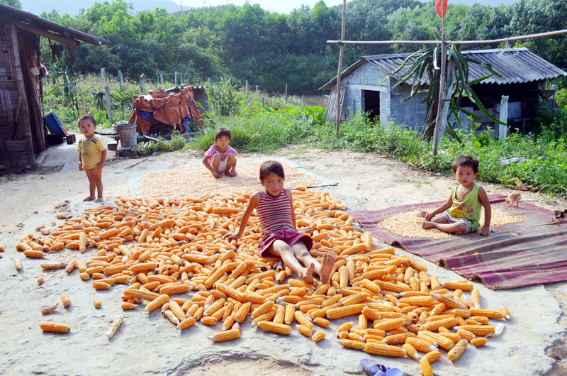 Với trẻ em thôn Bằng Lau (xã Nam Sơn , huyện Ba Chẽ) “sân chơi” dịp hè là quá xa lạ.