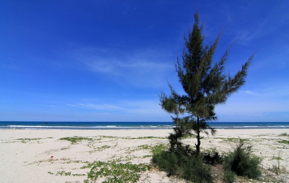 Biển Mỹ Khê gây ấn tượng mạnh với khách du lịch bằng vẻ yên tĩnh, thanh bình của một bờ biển trong xanh được che chắn bởi rừng dương xanh thẳm và cung biển uốn lưỡi liềm. Sau khi nghỉ ngơi, thưởng thức hải sản, bạn còn có dịp thăm quan tưởng niệm khu chứng tích chiến tranh Sơn Mỹ. Ảnh: Lam Hồng.