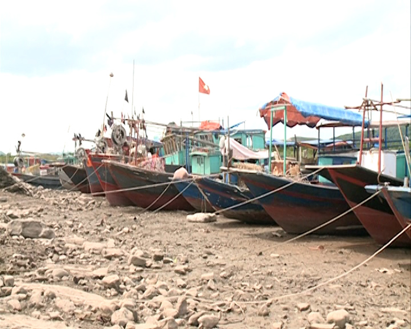 Tàu thuyền đánh bắt thủy sản của huyện Đầm Hà đã về nơi tránh trú bão.