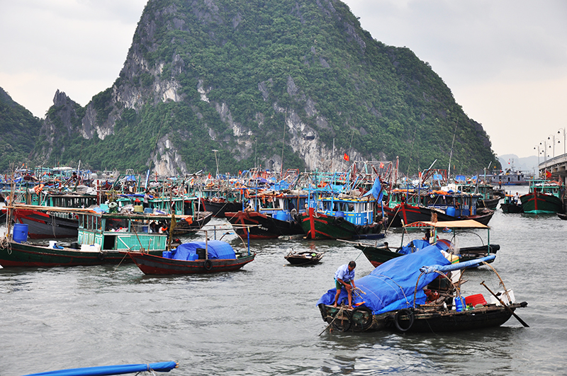 Tàu thuyền của ngư dân đã di chuyển về khu vực gần bờ.