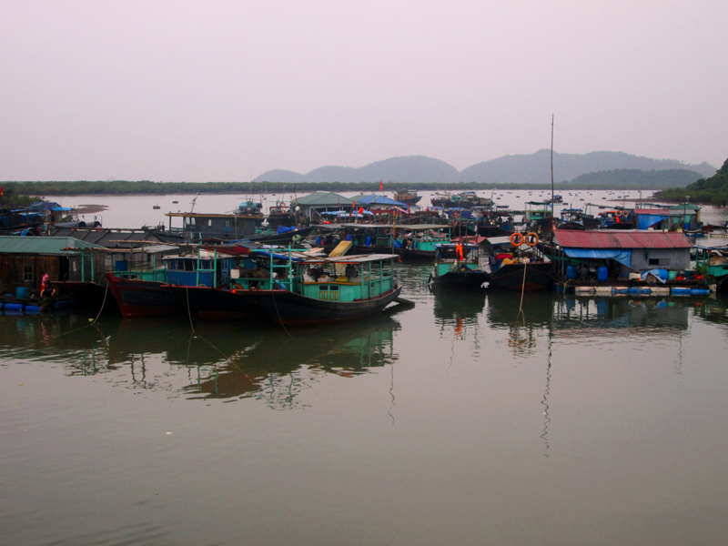 Toàn bộ tàu thuyền của huyện Tiên Yên đã về nơi trú ẩn an toàn.