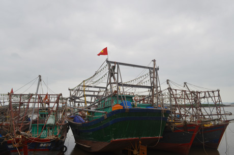 100% phương tiện đánh bắt thủy hải sản của huyện Hải Hà đã về nơi tránh trú bão an toàn