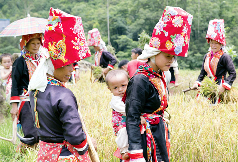 Đi đến các bản làng của huyện, có thể dễ dàng bắt gặp những phụ nữ người dân tộc thiểu số với bộ trang phục truyền thống rực rỡ sắc màu.