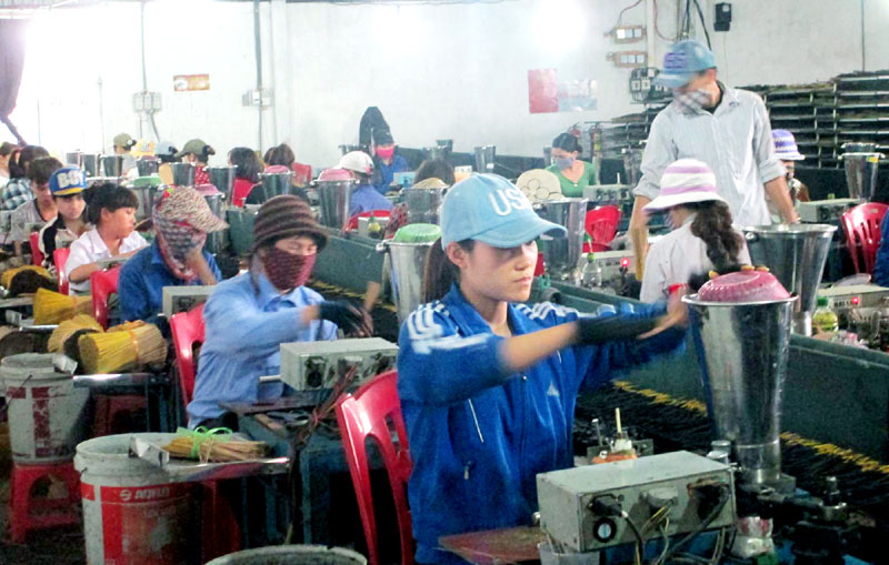 HTX Sản xuất và Dịch vụ Phú Hải (Mạo Khê, TX Đông Triều) - một trong những HTX đã chuyển đổi hoạt động theo Luật HTX năm 2012, chuyên sản xuất hương xuất khẩu đem lại hiệu quả kinh tế cao.