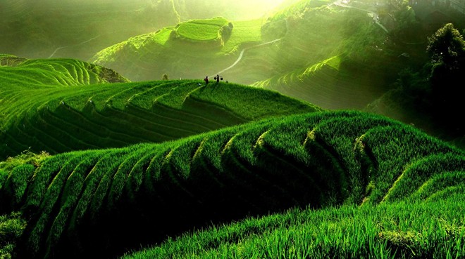 11. Ruộng bậc thang Long Tích: Được xưng tụng là “quán quân ruộng bậc thang thế giới”, Long Tích đem đến cho du khách hình ảnh kỳ thú bảy ruộng nhỏ vây quanh một ruộng lớn như những ngôi sao nằm quanh mặt trăng tạo thành tên gọi “thất tinh bán nguyệt”. Ảnh: Quilin7.