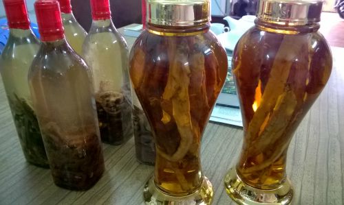 Rượu tắc kè chữa bệnh phòng the như thế nào?