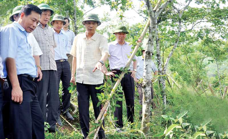 Hoành Bồ hướng tới mục tiêu phát triển bền vững