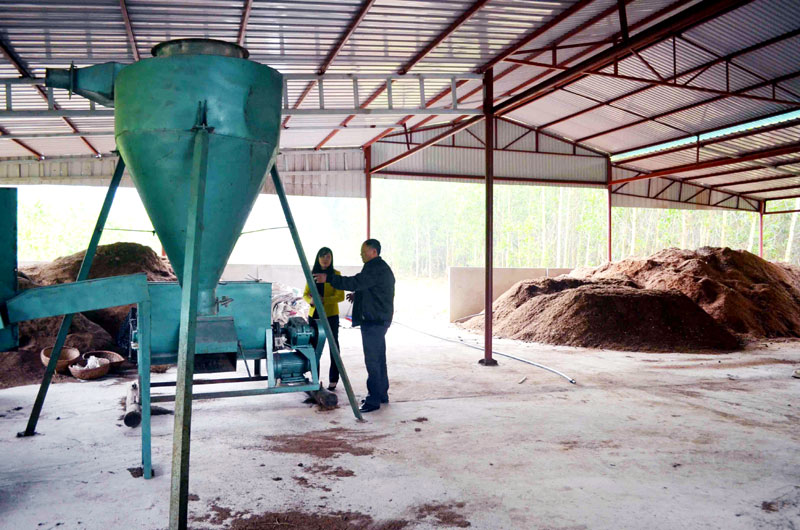 Công ty CP Nấm Thịnh Phát đang hoàn thiện dây chuyền công nghệ nuôi trồng, chế biến nấm quy mô công nghiệp.